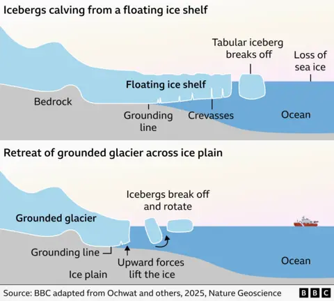 Two diagrams, one above the other. The top one shows icebergs calving from an ice shelf. An ice shelf is a floating tongue of ice extending into the ocean water. Tabular, flat-topped icebergs break off. The bottom diagram shows a grounded glacier retreating across an ice plain, a relatively flat stretch of bedrock. The glacier is lightly resting on the seabed. Upward forces are lifting the ice, causing icebergs to break off. On both diagrams, the grounding line is shown - where the ice loses contact with the bedrock.
